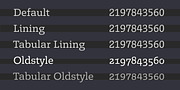 Legit Slab Soft, a Slab Serif Font by Finaltype (Thumbnail 3 of 6)