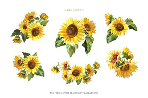 Sunflowers Clipart Collection