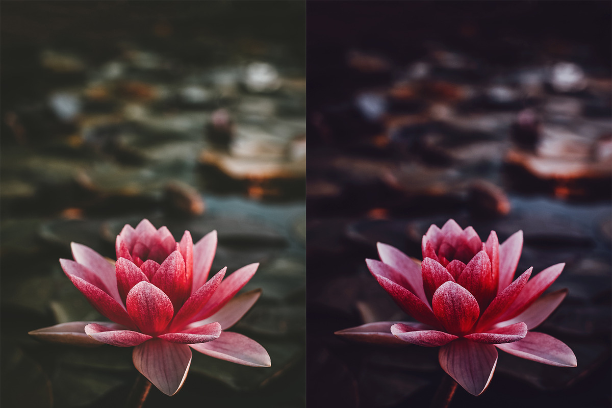 Dark Photoshop Actions, an Action Add-On by Bato (Photo 3 of 11)