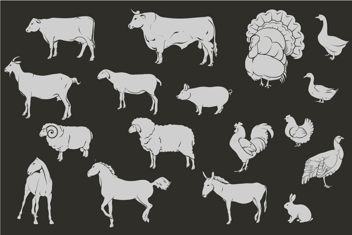 Farm animals, an Object Graphic by ArtOwl (Photo 2 of 8)