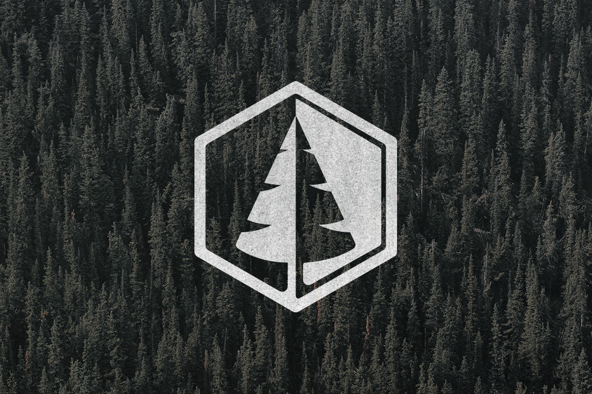 Pine Tree Logo by M E Smith Design  Creative Market