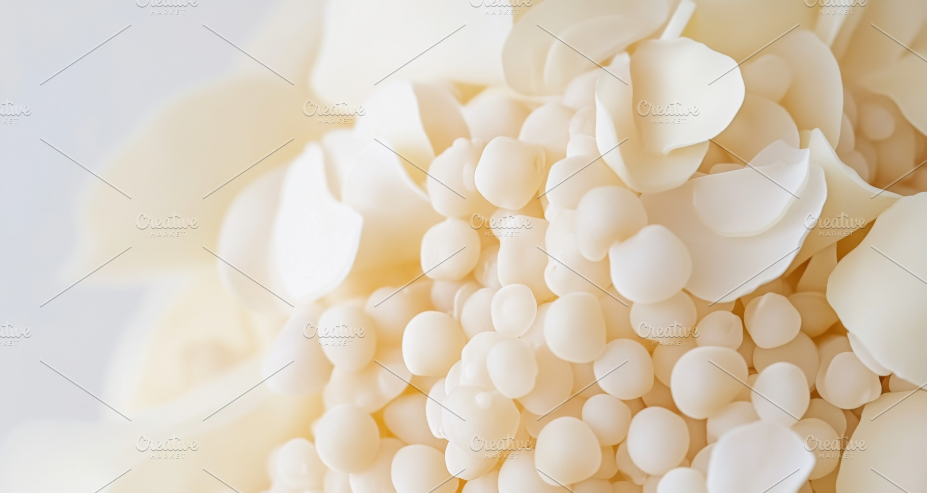 Close-up of white flower with delica, a Photo by Dvoevnore photos