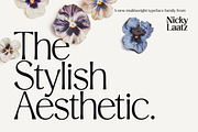 Stylish Aesthetic Typeface, a Sans Serif Font by Nicky Laatz (Thumbnail 1 of 29)
