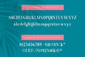 Abigale Font Duo Set