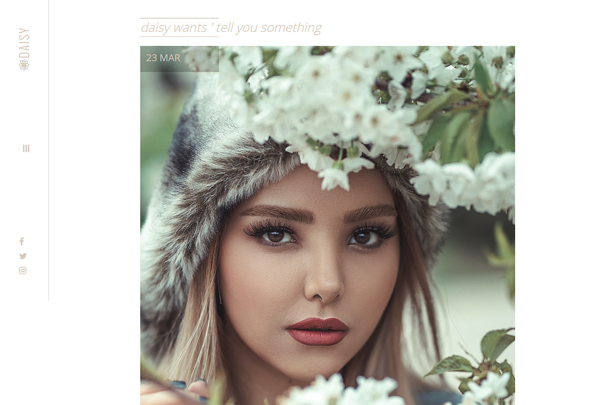 Daisy - Creative Shop Template, a Websites & App Template by inSTUDIO43 (Photo 6 of 6)
