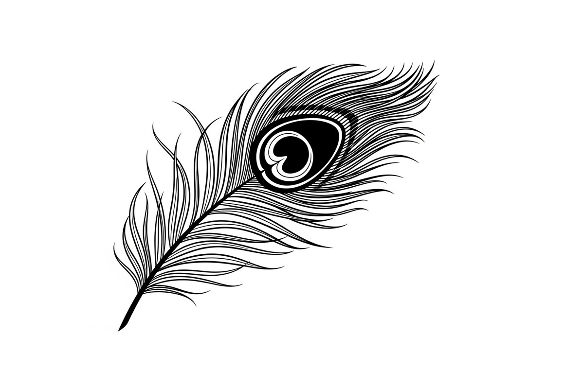Peacock Feather Silhouette Bundle, an Illustration by jahid234 (Photo 8 of 31)