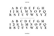 Hanoble - Modern Ligature Serif, a Serif Font by Vesvocrea (Thumbnail 10 of 13)