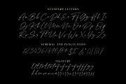 Rafelya Carrotin | Luxury Script, a Script Font by HanzelSpace Studio (Thumbnail 9 of 9)