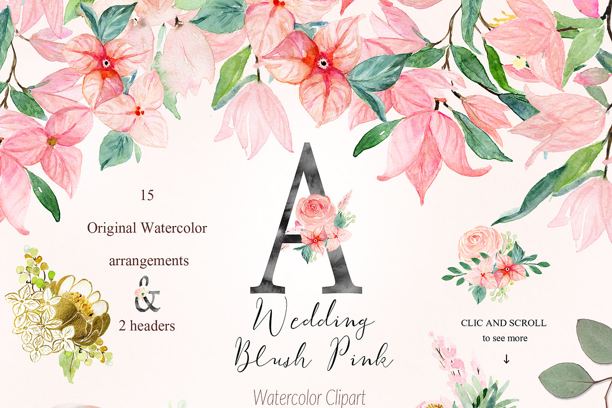 Blush pink bougainvillea flowers, an Illustration by LABFcreations (Photo 6 of 16)