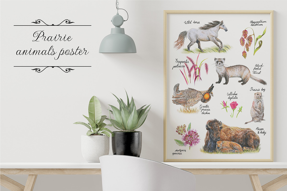 Prairie aesthetics. 52 items, an Animal Illustration by Art by Lady Natali (Photo 11 of 13)