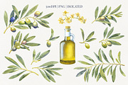 Olive Branches Watercolor Clipart, a Food Illustration by YarovaArt (Thumbnail 3 of 28)