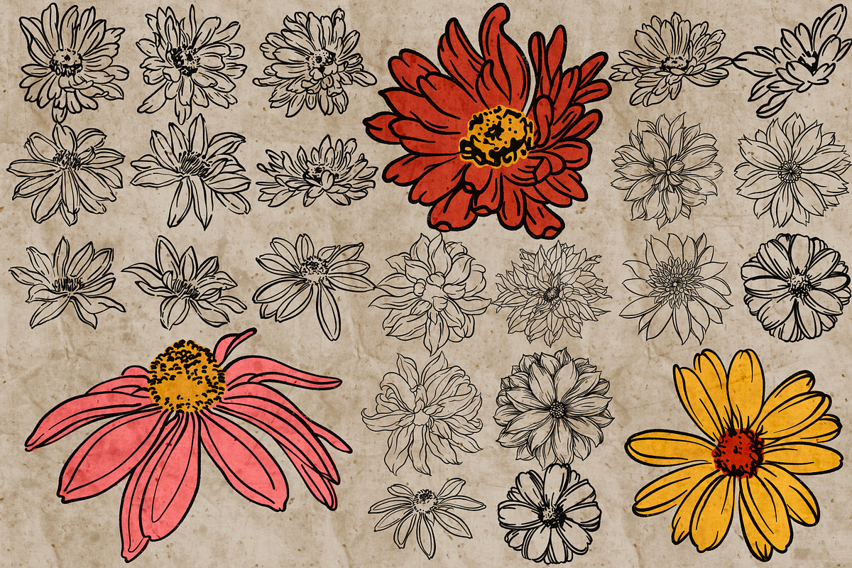 Flower heads stamps for Procreate, a Brush Add-On by TheWhiteCatLab (Photo 6 of 7)