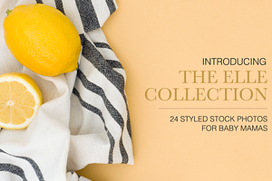 Styled Stock Bundle: Mompreneurs 