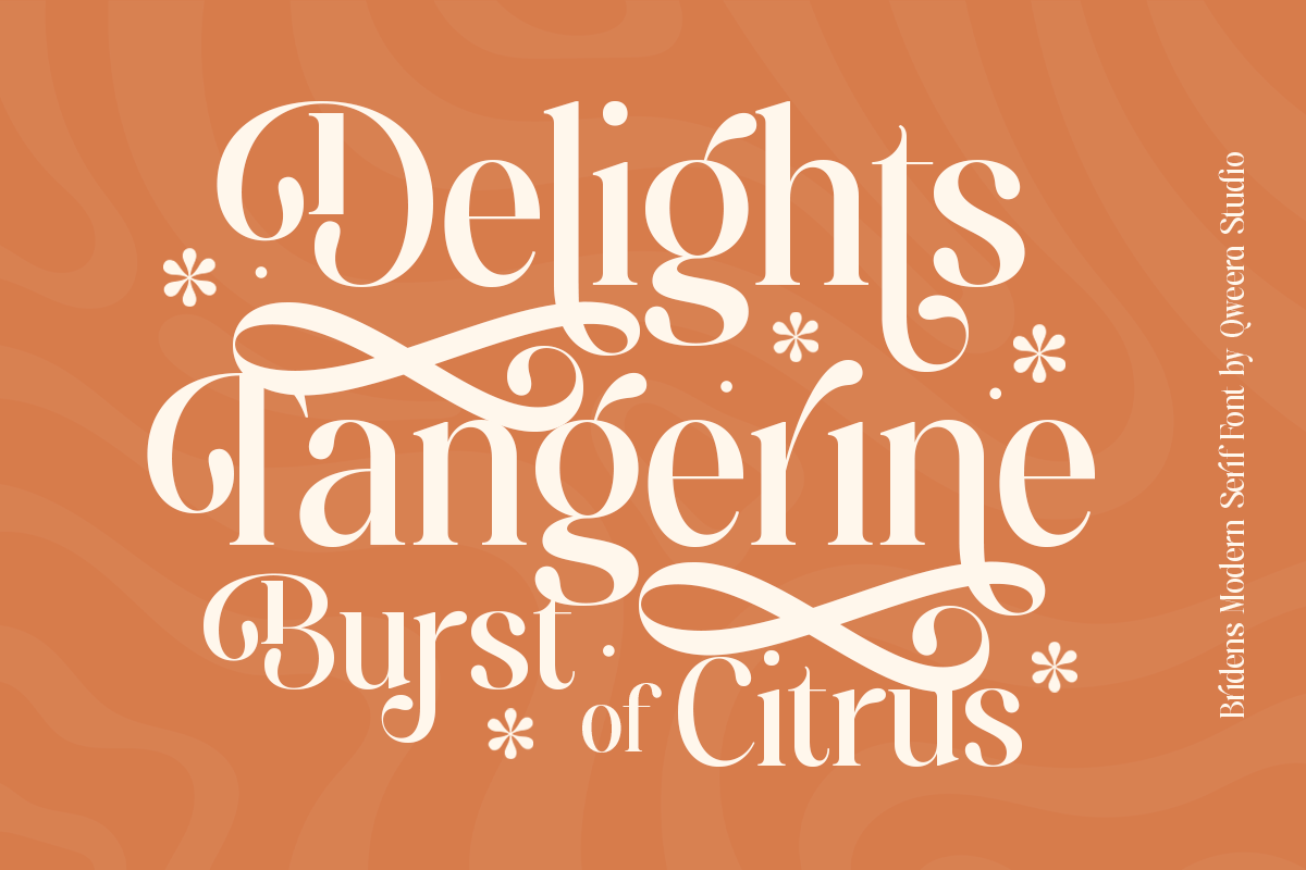 Bridens - Modern Serif Display, a Serif Font by Qweera Studio (Photo 5 of 10)