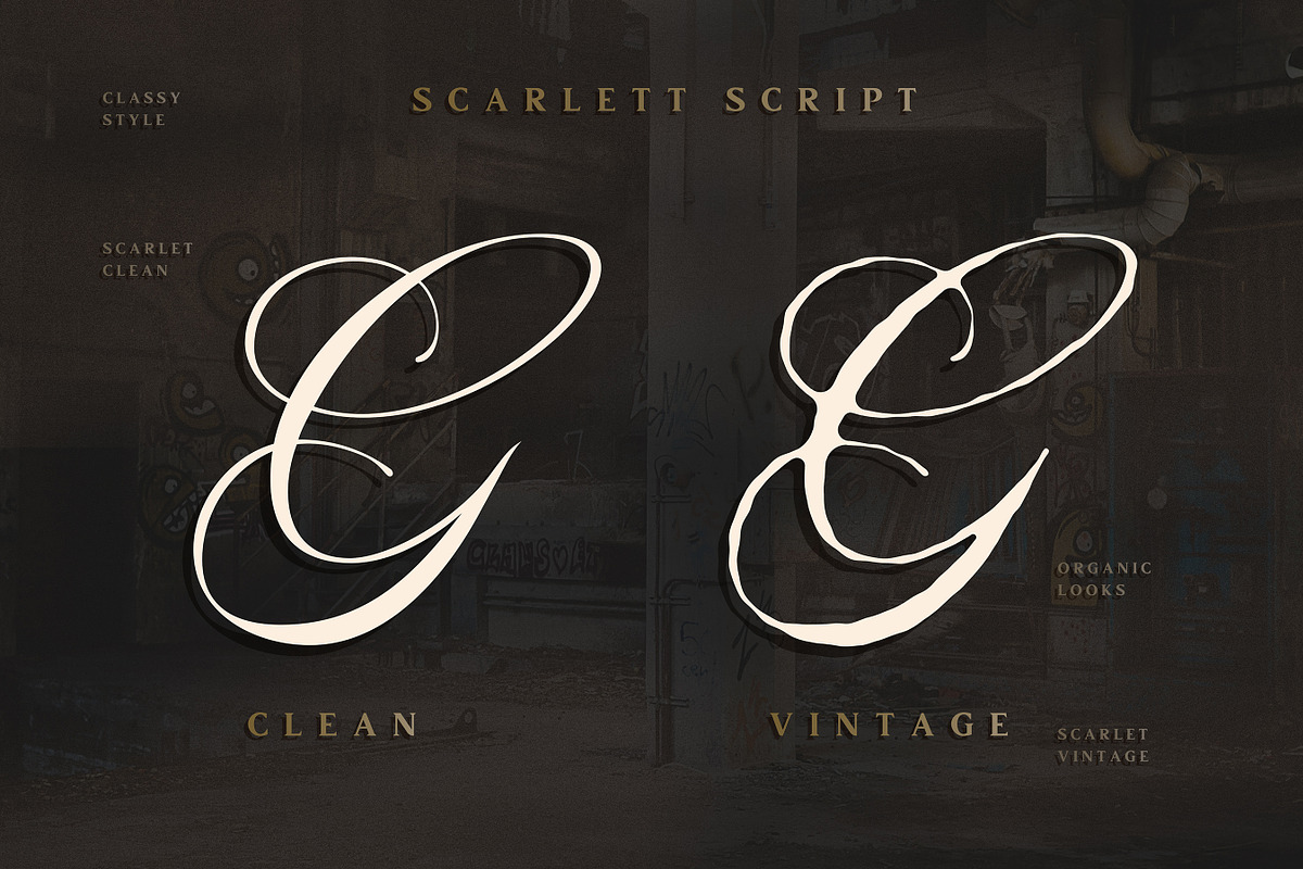 Scarlett Font Bundle, a Script Font by Swistblnk Std. (Photo 11 of 16)