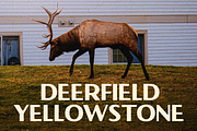 Montrose - Vintage Sans, a Sans Serif Font by Viswell (Thumbnail 9 of 10)
