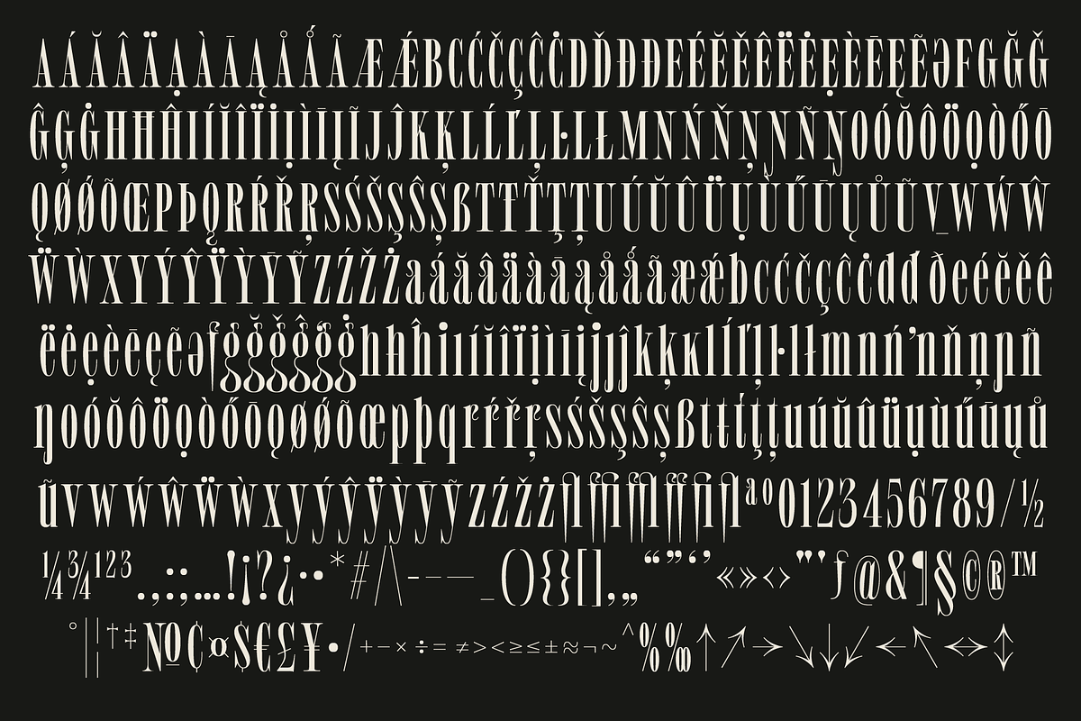 MTC Tailrose - A Quirk Serif Font, a Serif Font by Martype (Photo 11 of 12)