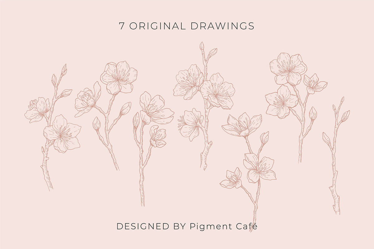 Cherry Blossoms Floral Art, a Decorative Illustration by Pigment Café (Photo 2 of 6)