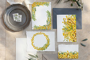 Spring mimosa, watercolor flowers, an Illustration by Artmanata (Thumbnail 8 of 16)
