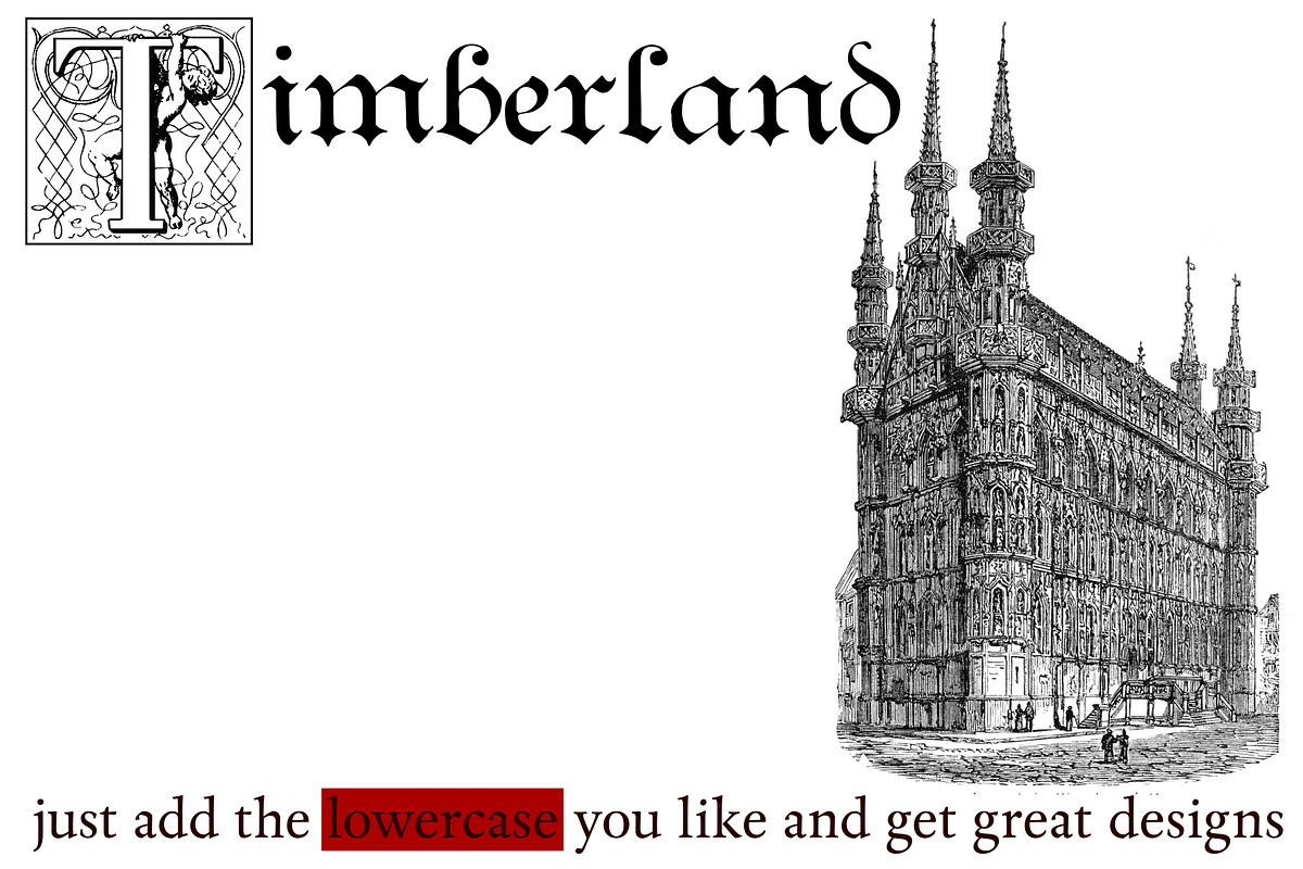 Kidnapped at Old Times 40, a Blackletter Font by Intellecta Design (Photo 5 of 5)