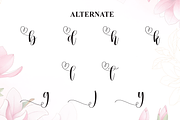Dearly | Script Font, a Handwritten Font by Scratchones (Thumbnail 8 of 9)