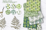 House Plants Watercolor Collection, an Object Graphic by BarvArt (Thumbnail 6 of 8)