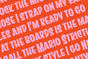 Sure Shot Casual Brush Script, a Script Font by Price Foundry (Thumbnail 29 of 29)