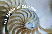 Lagoon Lush Bold Handmade Font, a Handwritten Font by Lidberia (Thumbnail 4 of 9)