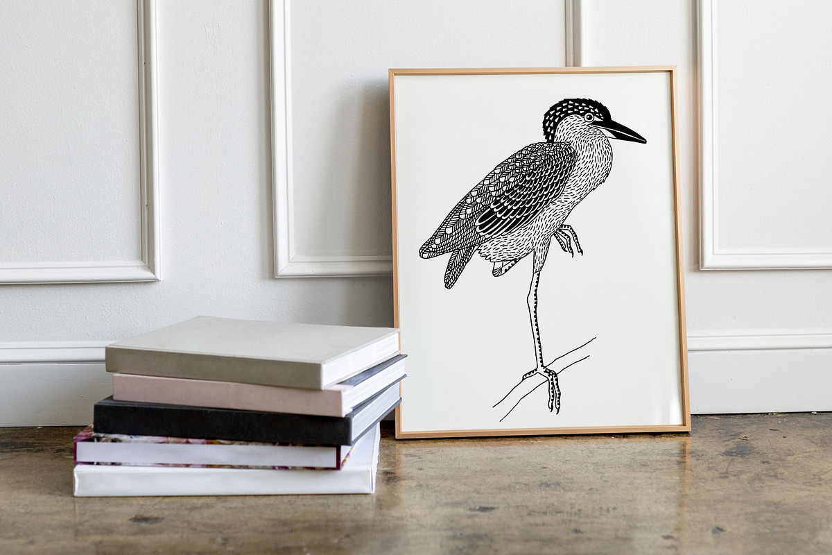 Hand Drawn Illustrations of Birds, an Animal Illustration by Franzi draws (Photo 5 of 5)