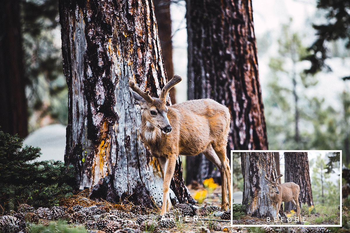 Oneday : Calm Lightroom presets, an Action Add-On by Emyself Design (Photo 5 of 7)