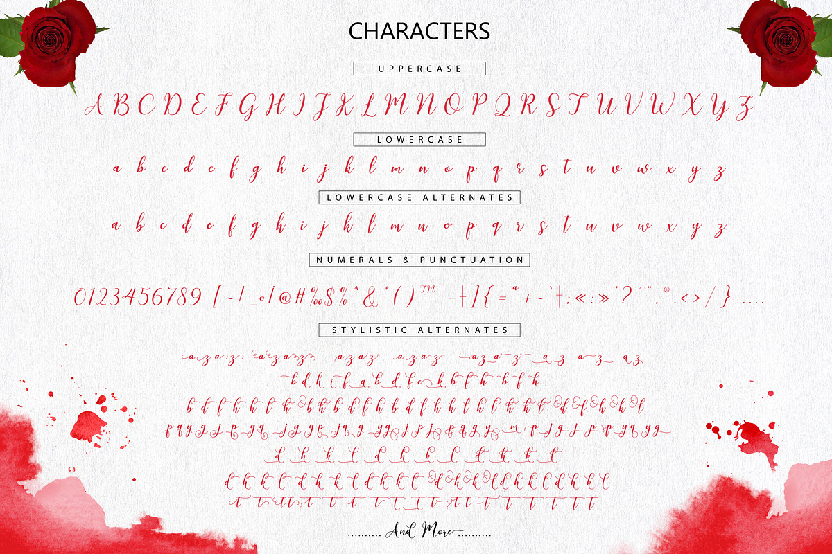 Kissita Script, a Script Font by Barland Design (Photo 9 of 10)