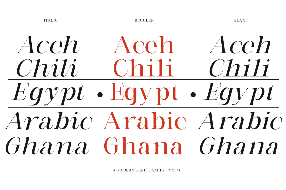 Milghera Serif, a Serif Font by IM Studio (Photo 5 of 12)