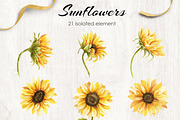 Sunflowers Watercolor Collection, an Illustration by Dervik Art Store (Thumbnail 2 of 8)