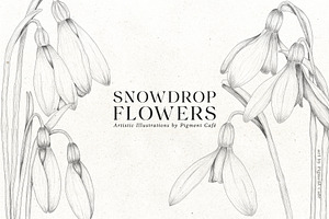 Snowdrop Flowers & Card Templates