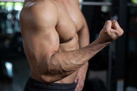 Male Bodybuilder  Flexing His Biceps