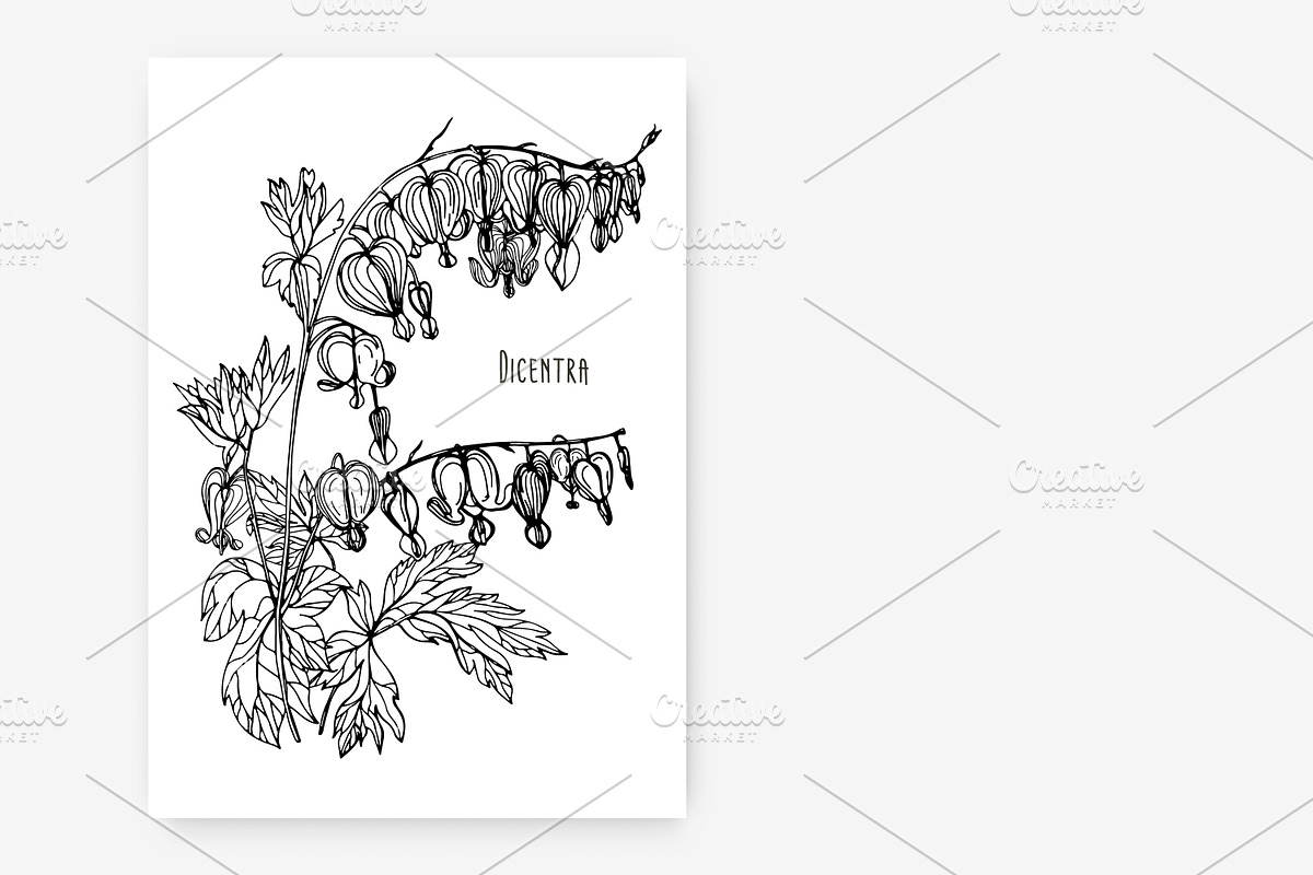 Dicentra with gorgeous flowers, a Decorative Illustration by Good Studio (Photo 2 of 5)