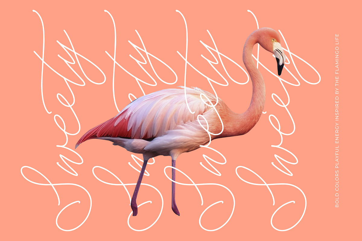 Soft Petals Beauty Monoline Handwr, a Script Font by Integritype Studio (Photo 6 of 15)