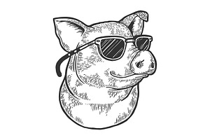 Pig Animal In Sunglasses Sketch