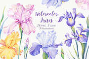 SALE! Watercolor Irises, an Illustration by Irina Diasli (Thumbnail 1 of 5)