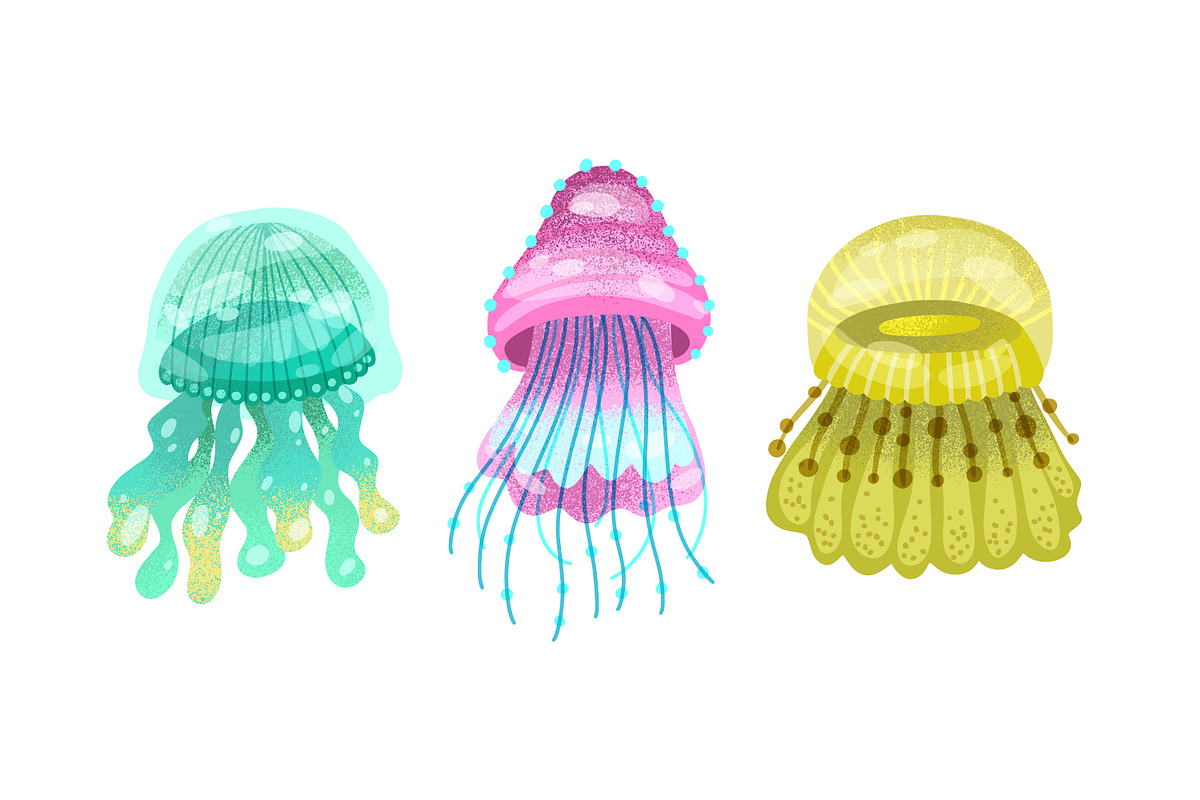 Different jellyfish, sea animals set, an Animal Illustration by Good Studio (Photo 2 of 6)