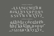 Bridget, a Serif Font by Cruzine (Thumbnail 7 of 9)