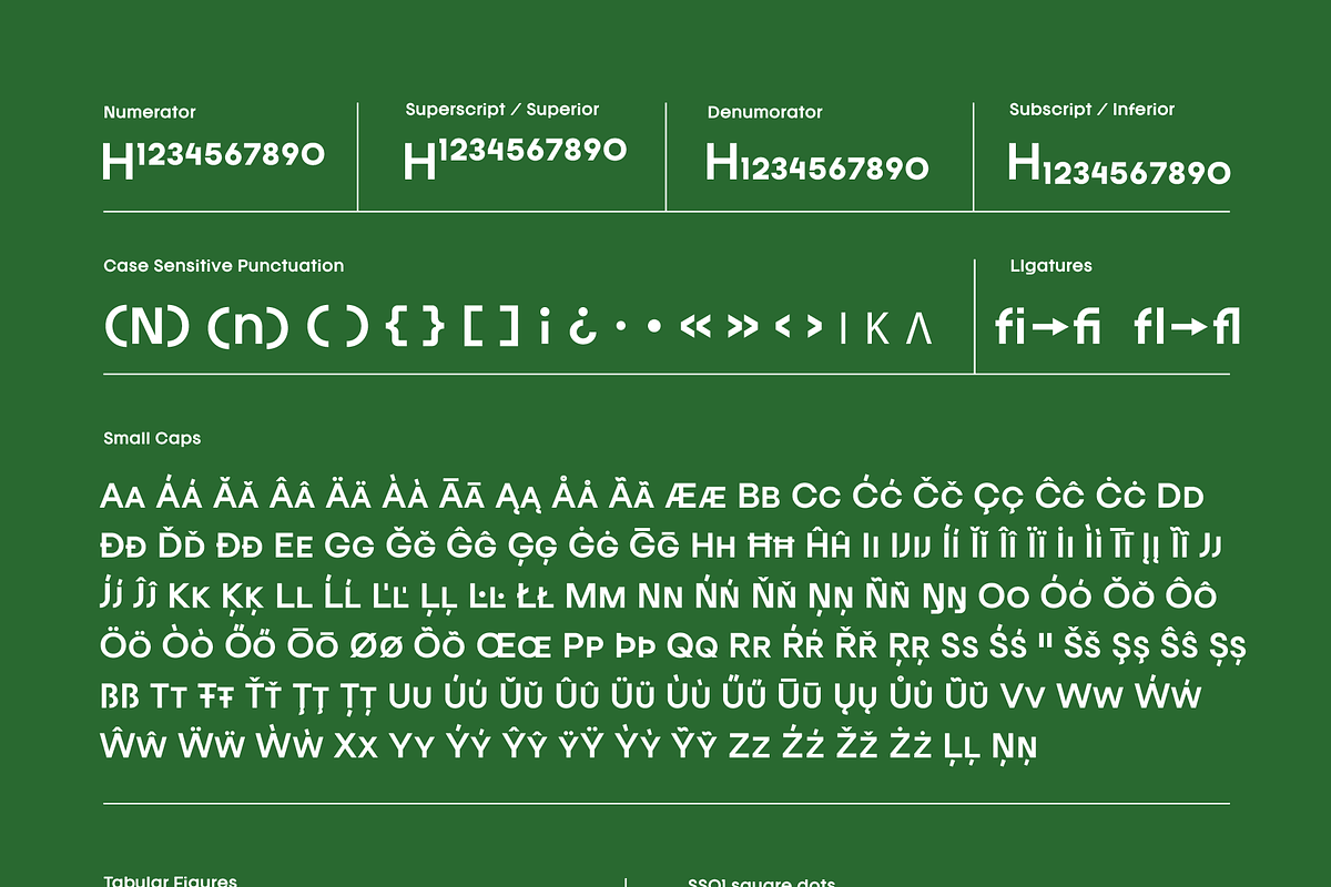 Franie Geometric Sans 72 Styles, a Sans Serif Font by That That Creative (Photo 4 of 14)