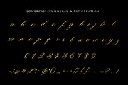 Rastering| Elegant Calligraphy Font, a Script Font by Romiecreative (Thumbnail 9 of 13)