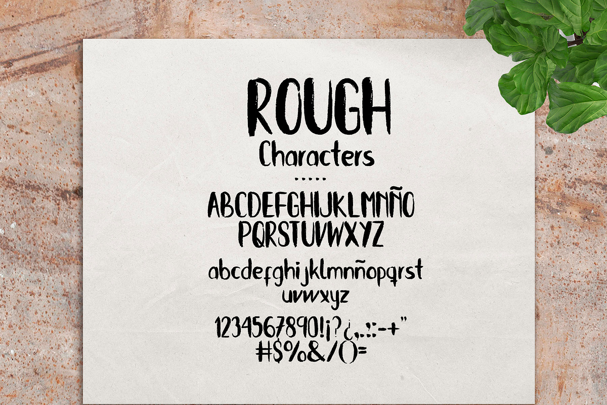 INTRO SALE 60% OFF! Kiwy: font trio preview 2