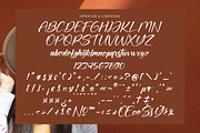 Natural Botanicals, a Handwritten Font by operatype.co (Thumbnail 13 of 15)