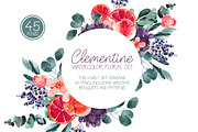 Clementine - watercolor set, a Work Illustration by Charushella (Thumbnail 1 of 6)