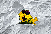 Ripped Paper Bundle, a Background Graphic by NiccerPhotography (Thumbnail 4 of 5)