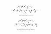 Greek Font Marilia, a Script Font by Greek fonts by nantia.co (Thumbnail 14 of 14)