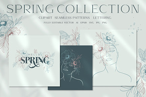 Spring Collection