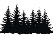 Pine Forest Silhouette Bundle, a Graphic by balal (Thumbnail 11 of 16)